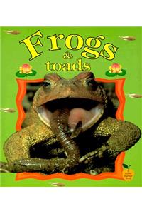 Frogs & Toads