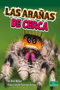 Las Arañas de Cerca (Spiders Up Close)