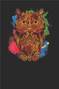 Owl Colorful
