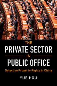 Private Sector in Public Office