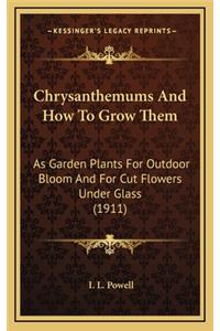 Chrysanthemums And How To Grow Them