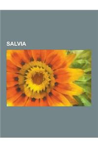 Salvia: Salvia Divinorum, List of Salvia Species, Salvia Miltiorrhiza, Salvia Officinalis, Salvia Tingitana, Salvia Hispanica,