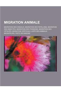 Migration Animale: Migration Des Oiseaux, Migration Des Papillons, Migration Des Insectes, Migration Des Poissons, Migration Des Cetaces,