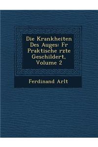 Die Krankheiten Des Auges