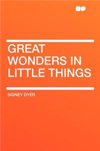Great Wonders in Little Things