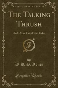 The Talking Thrush