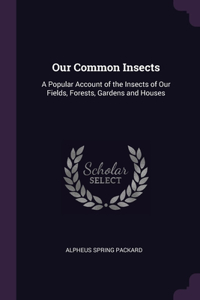 Our Common Insects