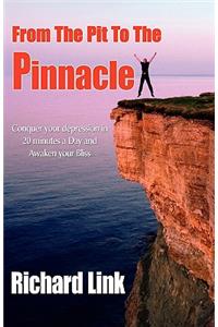 From The Pit To The Pinnacle