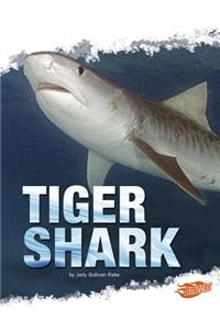 Tiger Shark