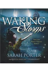 Waking Storms