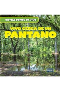 Vivo Cerca de Un Pantano (There's a Swamp in My Backyard!)