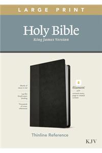 KJV Large Print Thinline Reference Bible, Filament Enabled Edition (Red Letter, Leatherlike, Black/Onyx)