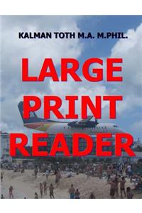 Large Print Reader: 400 Pages with Theme & 16 Words