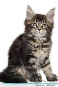 Maine Coon Cat Affirmations Workbook Maine Coon Cat Presents