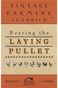 Rearing the Laying Pullet