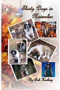 Thirty Days in November