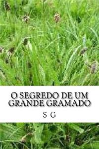 O segredo de um grande gramado