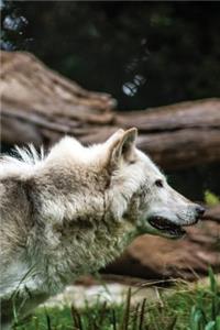 White Wolf Journal