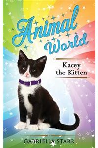 Kacey The Kitten
