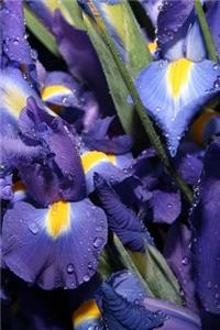 Journal Flowers Beautiful Blue Iris