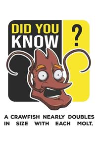 Did You Know?