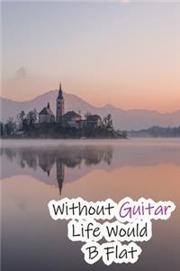 Without Guitar Life Would B Flat