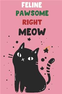 Feline Pawsome Right Meow