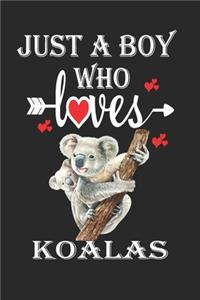 Just a Boy Who Loves Koalas