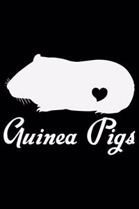 Guinea Pigs