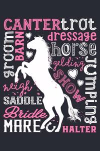 Canter trot Groom Barn Dressage Horse Gelding Show Jumping