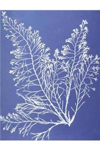 Wide Ruled Paper Journal