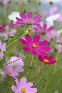 Blank Journal - Wildflowers