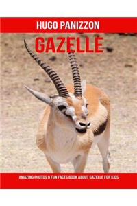 Gazelle: Amazing Photos & Fun Facts Book about Gazelle for Kids