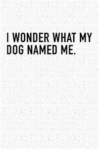 I Wonder What My Dog Named Me