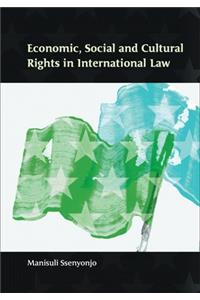 Economic, Social and Cultural Rights in International Law