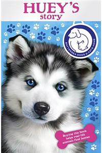 Battersea Dogs & Cats Home: Huey's Story
