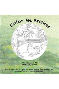Color Me Brisket