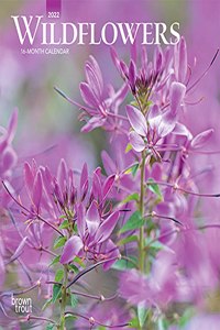 Wildflowers 2022 Mini