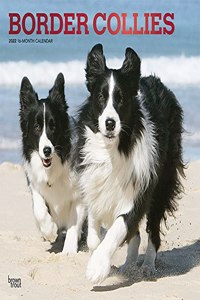 Border Collies 2022 Square