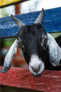 Happy Little Goat Says Hello To You Journal