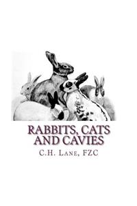 Rabbits, Cats and Cavies