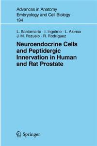 Neuroendocrine Cells and Peptidergic Innervation in Human and Rat Prostrate