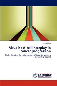 Virus-host cell interplay in cancer progression