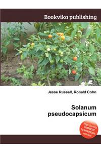 Solanum Pseudocapsicum