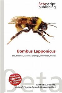 Bombus Lapponicus