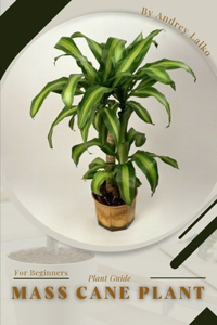 Mass Cane Plant