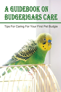 Guidebook On Budgerigars Care