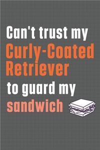 Can't trust my Curly-Coated Retriever to guard my sandwich