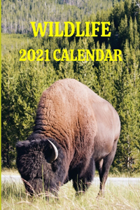 Wildlife 2021 Calendar