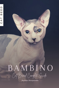 Bambino